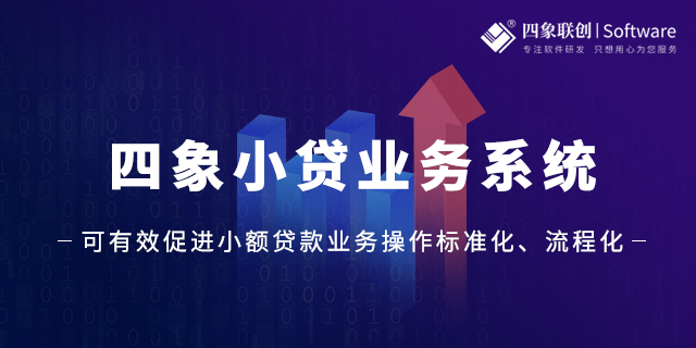 小貸業(yè)務系統(tǒng).png