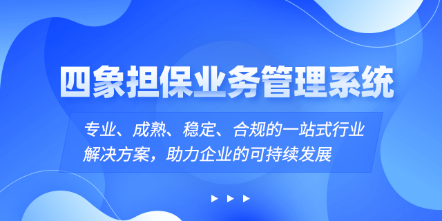 擔(dān)保系統(tǒng)